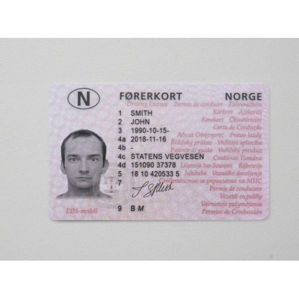 Norway Driver License