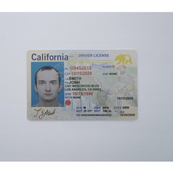 USA Driver License