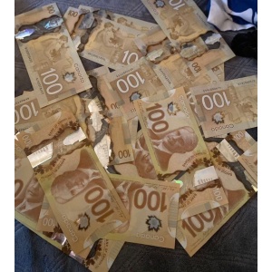 CAD $100 Banknotes